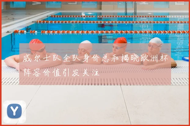 威尔士队全队身价总和揭晓欧洲杯阵容价值引发关注