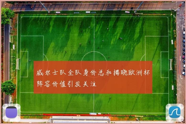 威尔士队全队身价总和揭晓欧洲杯阵容价值引发关注