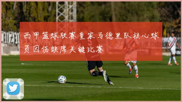 西甲篮球联赛皇家马德里队核心球员因伤缺席关键比赛