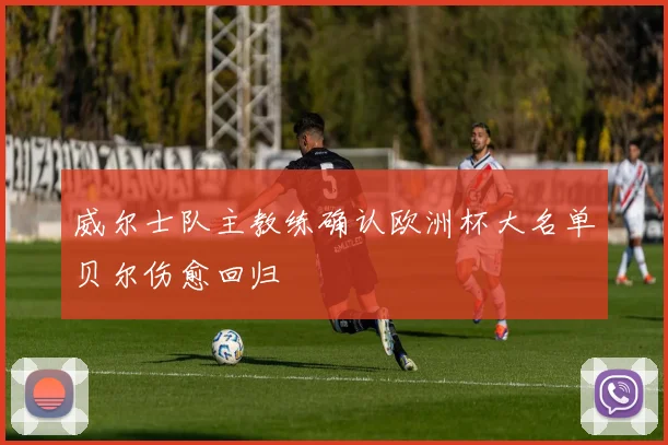 威尔士队主教练确认欧洲杯大名单贝尔伤愈回归