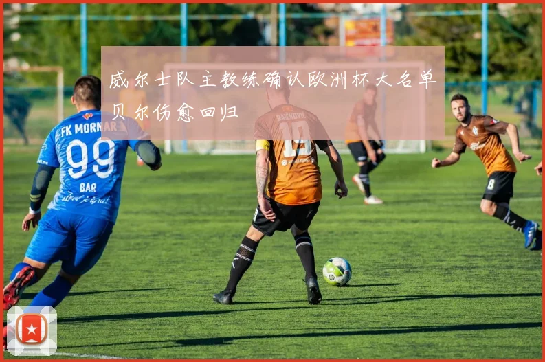 威尔士队主教练确认欧洲杯大名单贝尔伤愈回归