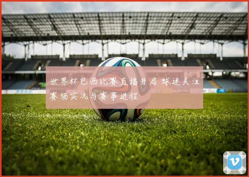 世界杯巴西比赛直播开启 球迷关注赛场实况与赛事进程