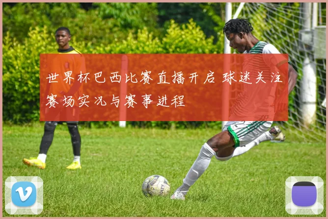 世界杯巴西比赛直播开启 球迷关注赛场实况与赛事进程