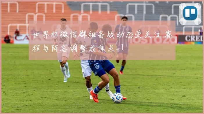 世界杯微信群组备战动态受关注 赛程与阵容调整成焦点_1